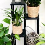 010 - Hugo 4-Level Planter Stand