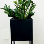 002 - Aldo M Planter with stand