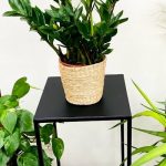011 - Enzo Planter/side table