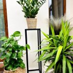 007 - Fido L Plant Stand